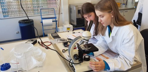 MINT-Scouts - jugend-forscht im julab 2019