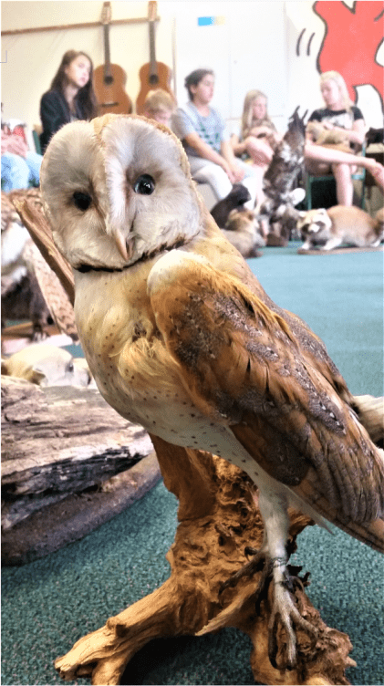 Projektwoche Nationalpark Eule